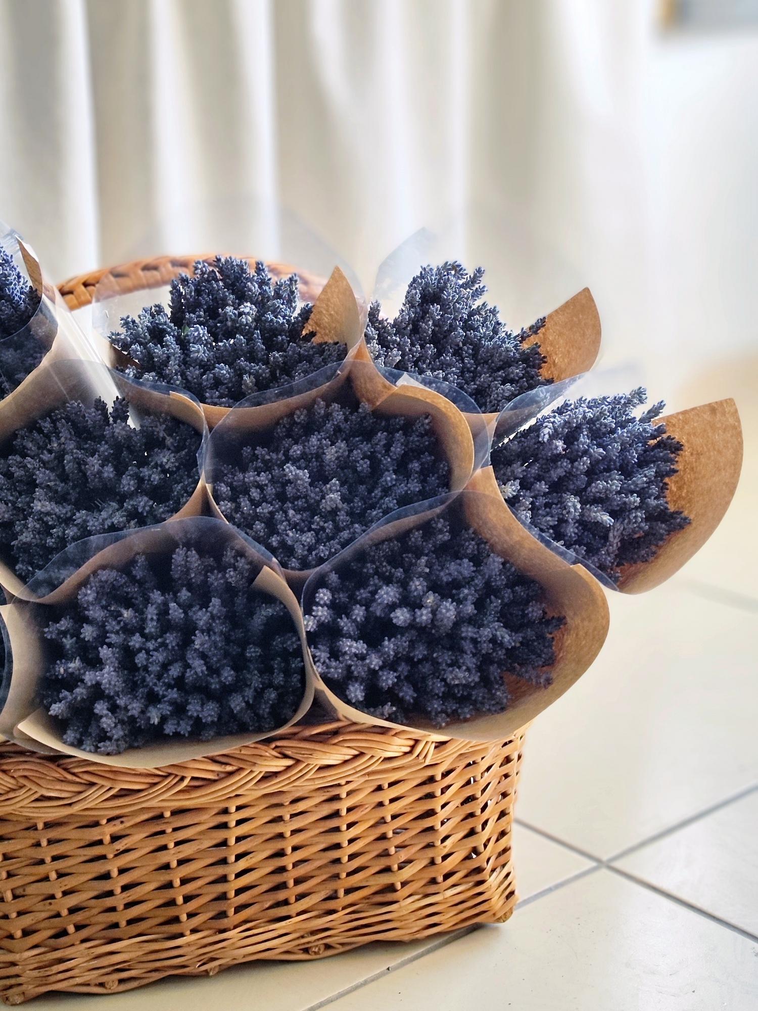 Предложение для флористов. Крымский лавандин, 40-50 см