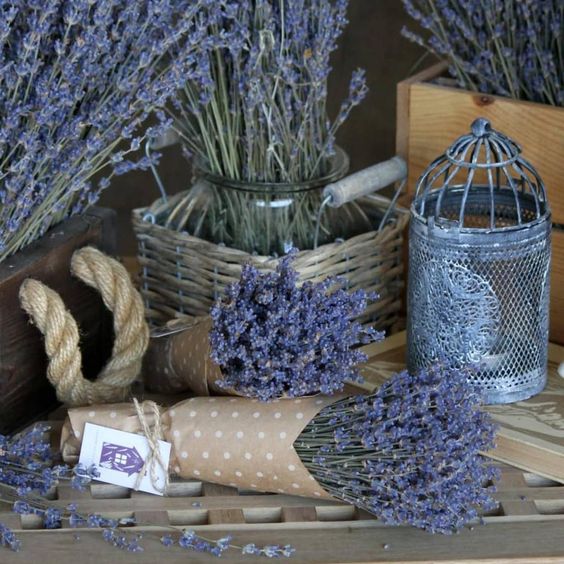 Пучки лаванды, стандарт - высота 22-26 см