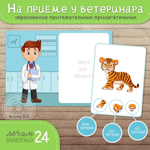 Дидактическая игра «На приёме у ветеринара»