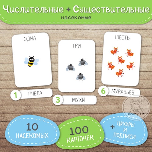 Числительные и существительные. Насекомые