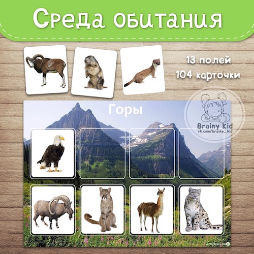 Среда обитания