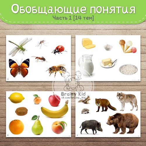 Обобщающие понятия [часть 1]