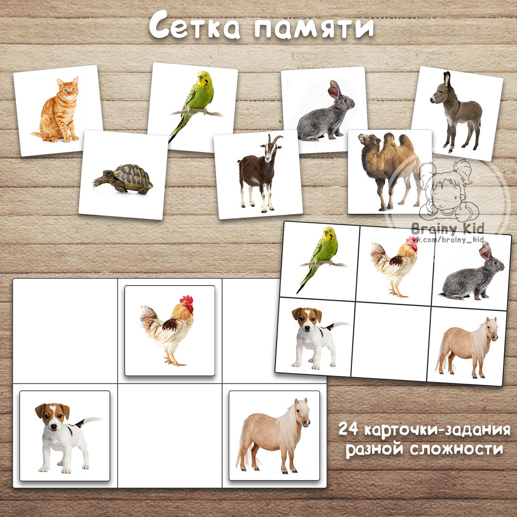 Сетка памяти 2*3 - Животные