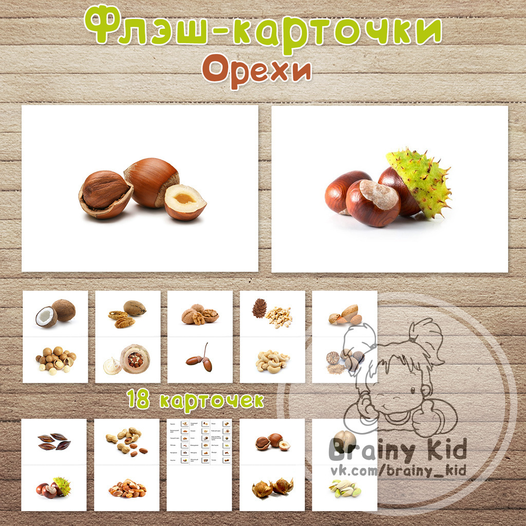 Флэш-карточки – Орехи