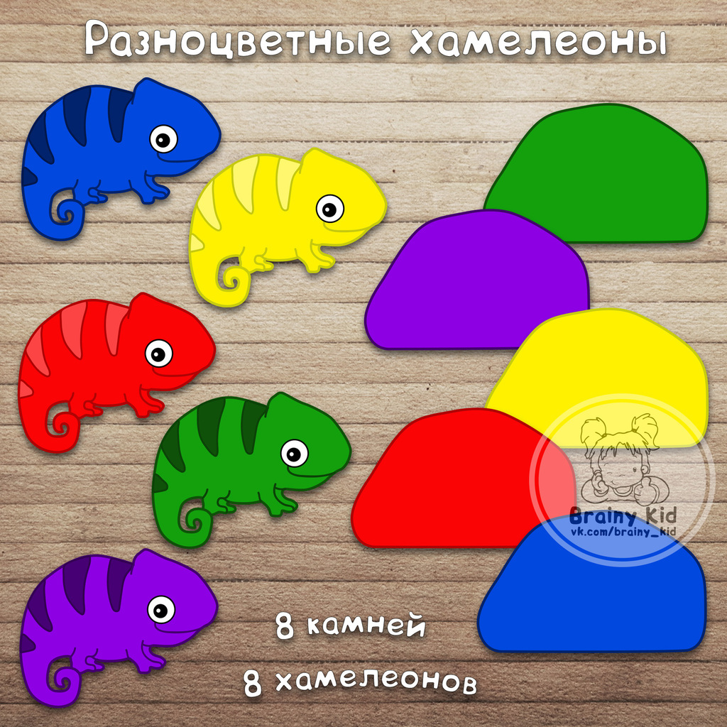 Разноцветные хамелеоны