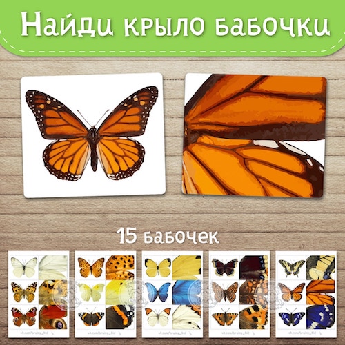 Найди крыло бабочки
