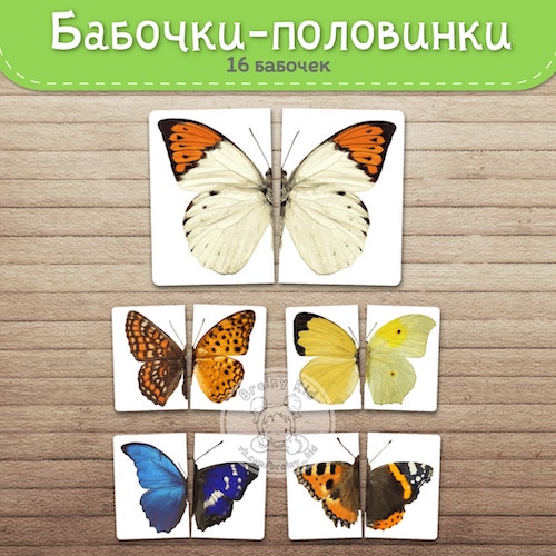 Бабочки-половинки