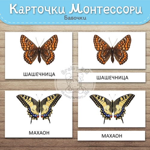 Карточки Монтессори – Бабочки