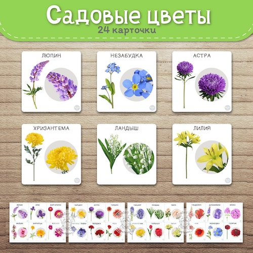 Карточки. Садовые цветы