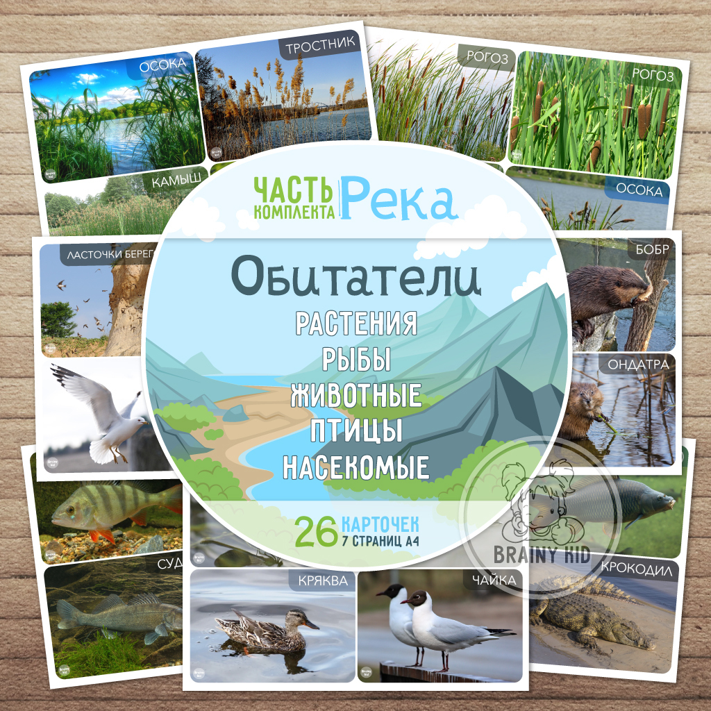 Обитатели рек