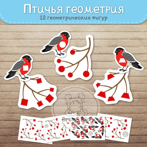 Птичья геометрия