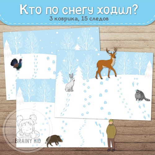 Кто по снегу ходил?