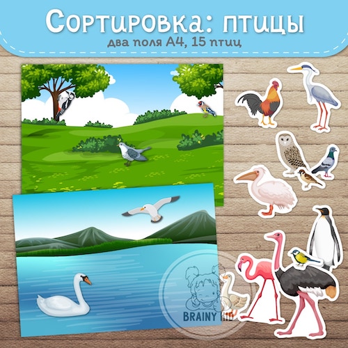 СОРТИРОВКА: птицы [плавает/не плавает] цветные поля