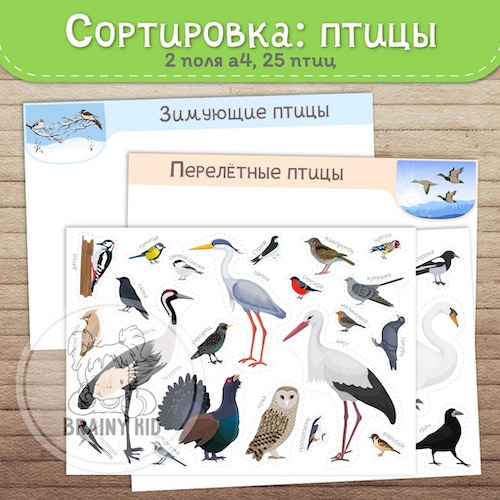 СОРТИРОВКА: птицы [зимующие-перелетные]