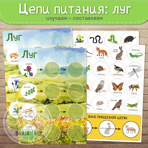 Цепи питания: луг