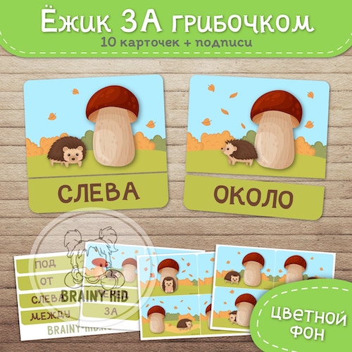 Ёжик ЗА грибочком. Предлоги-подписи [цветной фон]