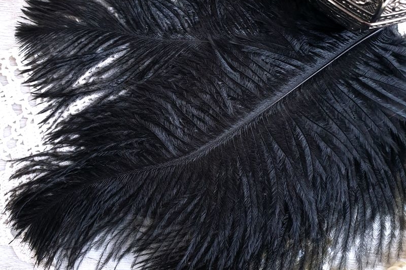 перья страуса черные