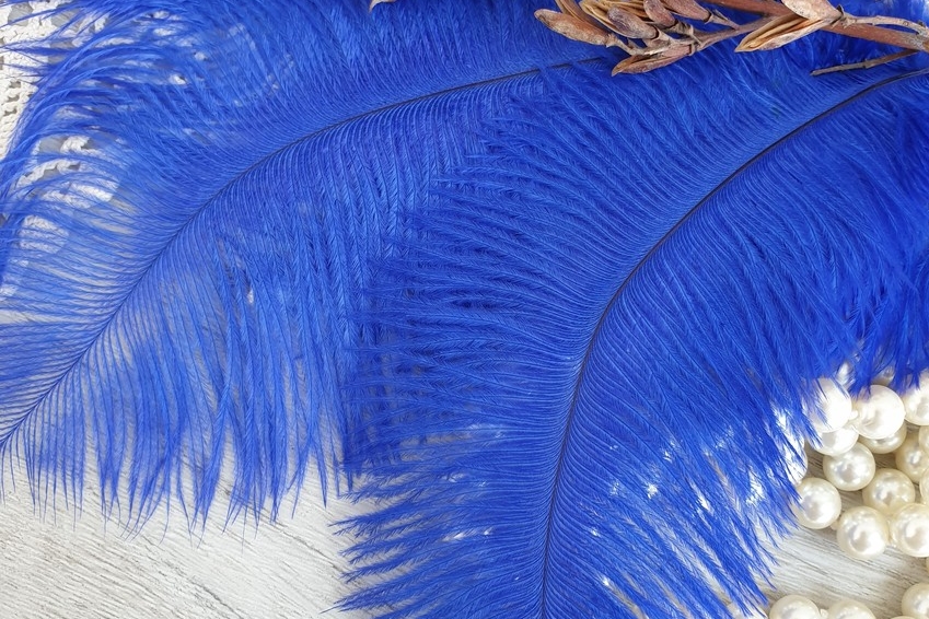 перья страуса синие
