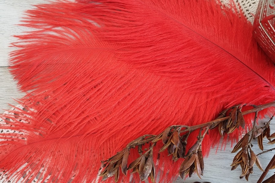 перья страуса красные