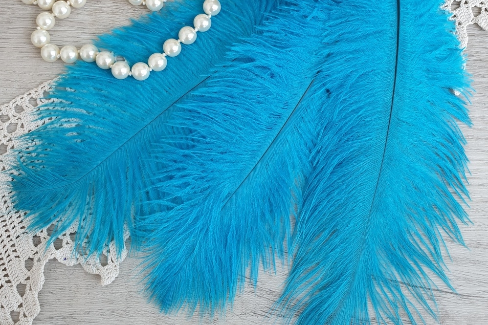 перья страуса