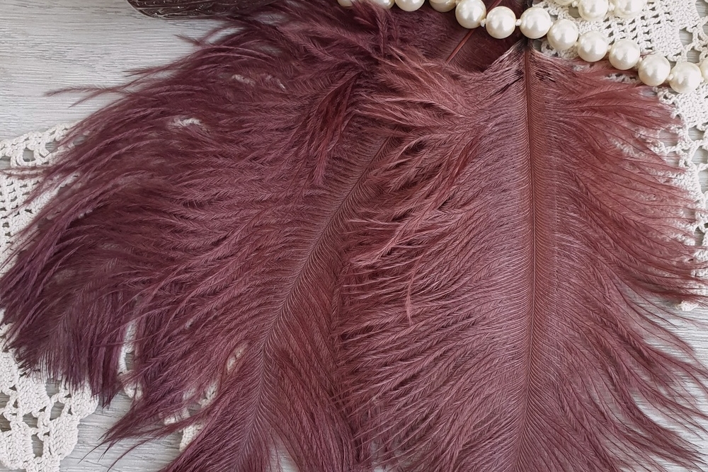 перья страуса