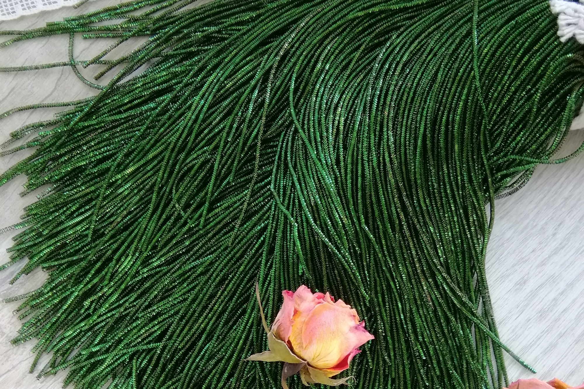 трунцал зеленый индийский