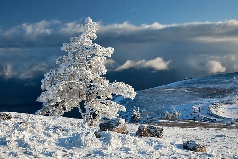 набор для вышивки
