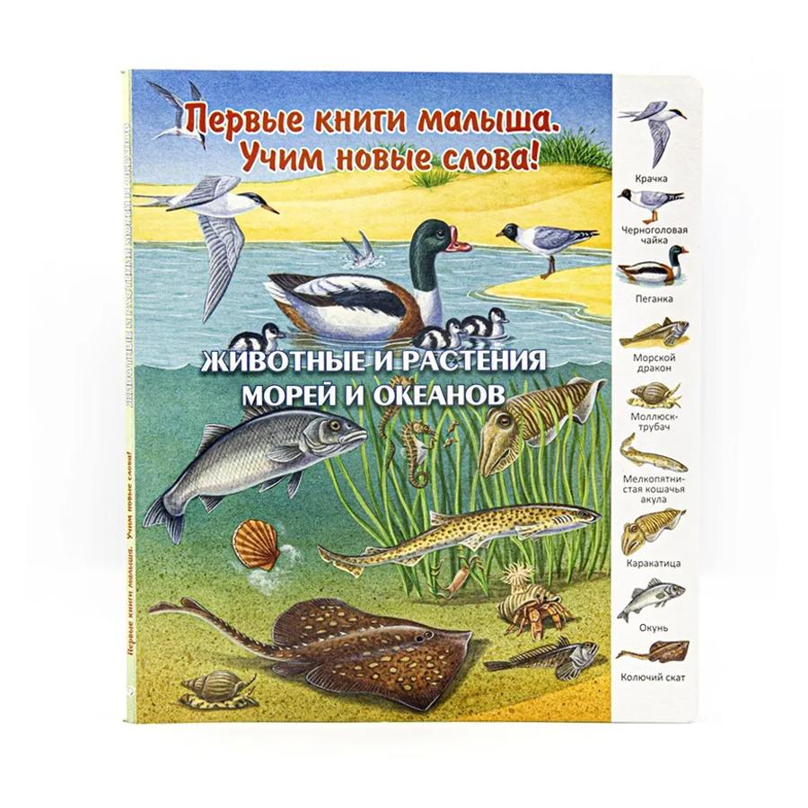 Животные и растения морей и океанов