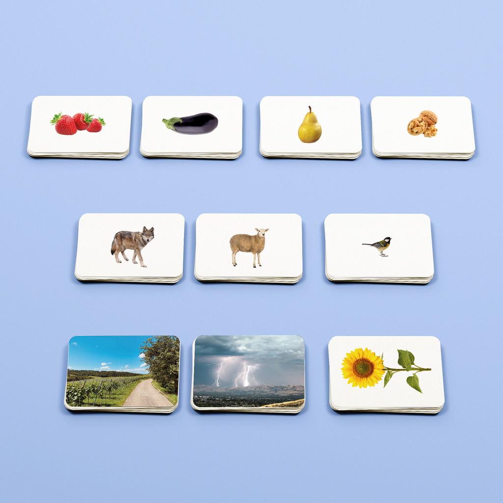 Набор №1 развивающих карточек для детей Монтессори