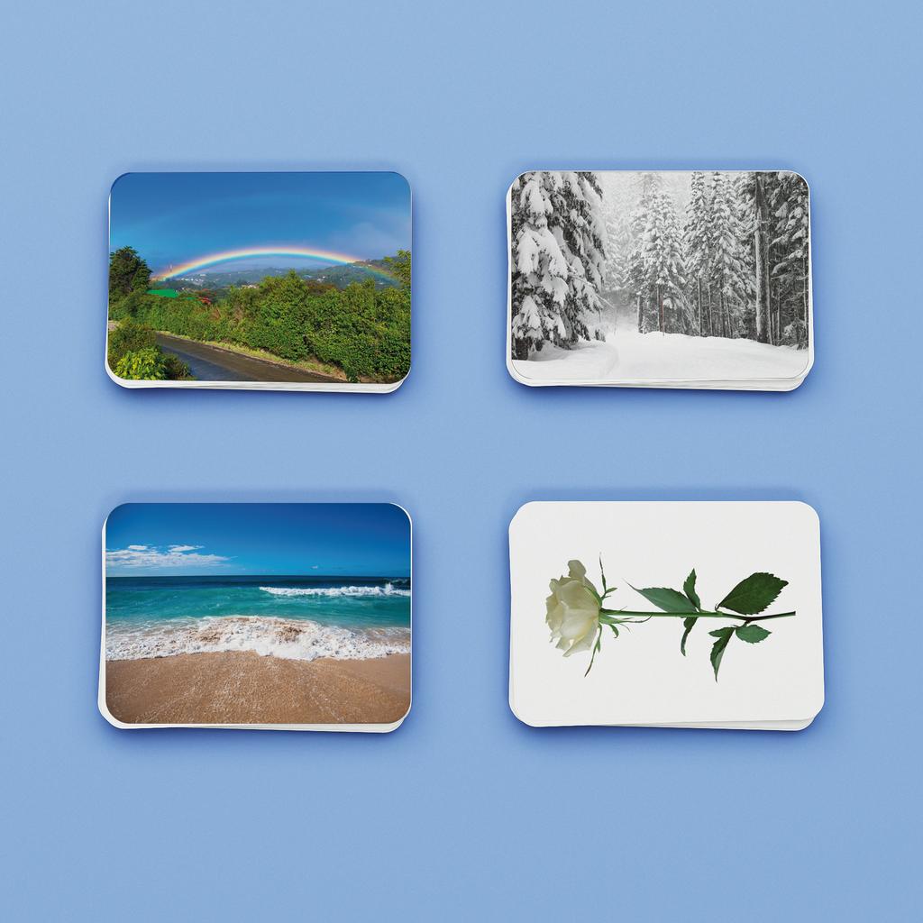 Природа. Набор развивающих карточек для детей Монтессори