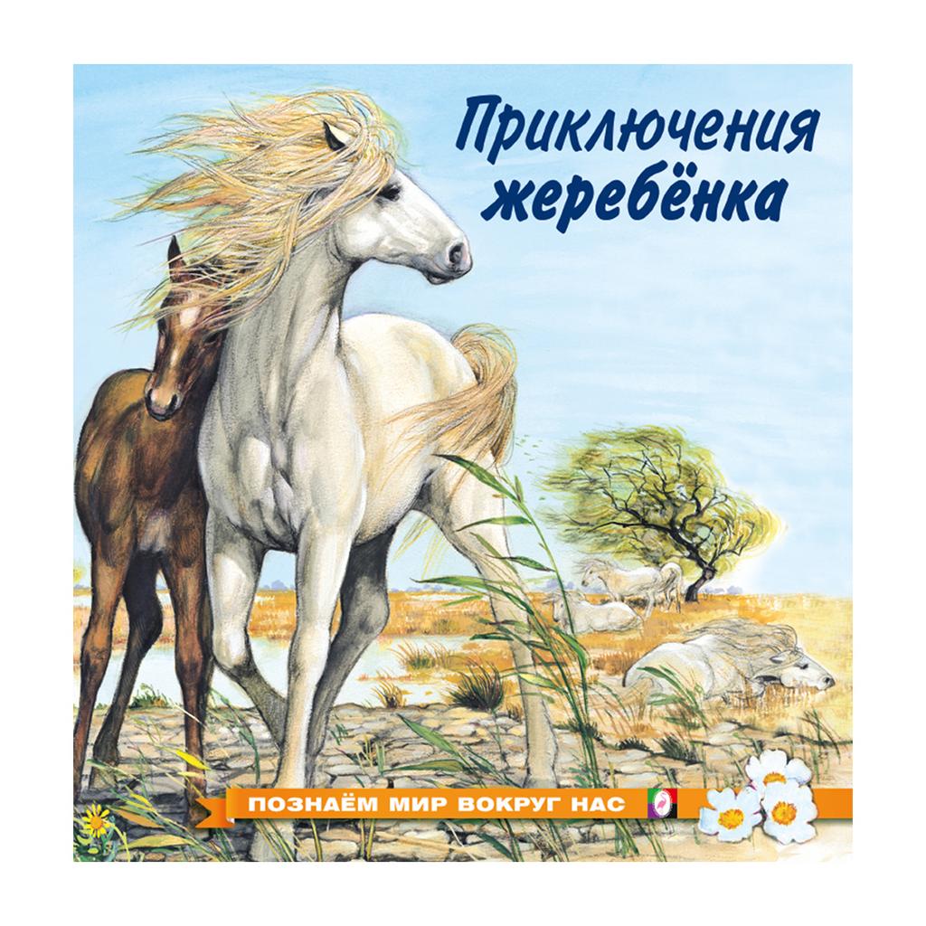 Приключения жеребенка