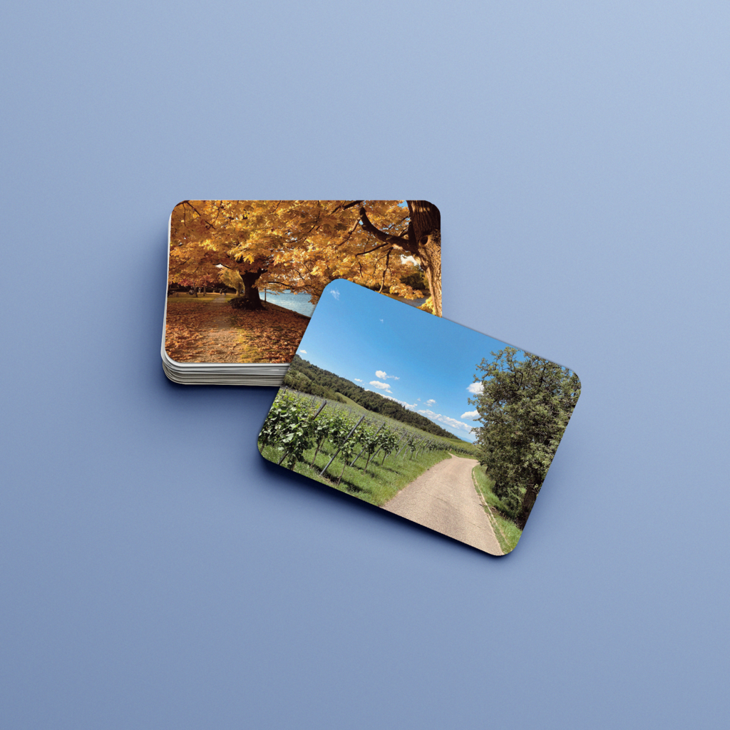 Времена года. Набор развивающих карточек для детей Монтессори