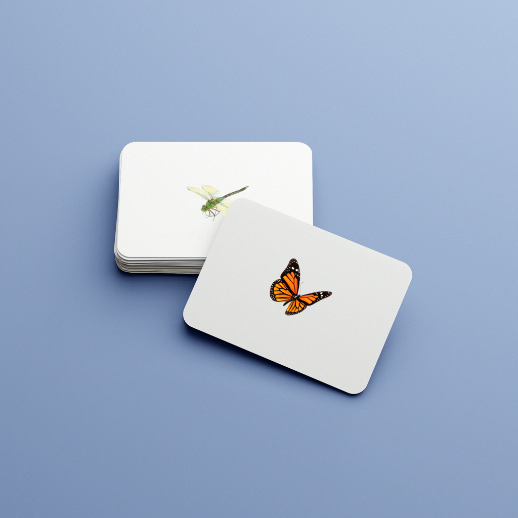 Насекомые. Набор развивающих карточек для детей Монтессори