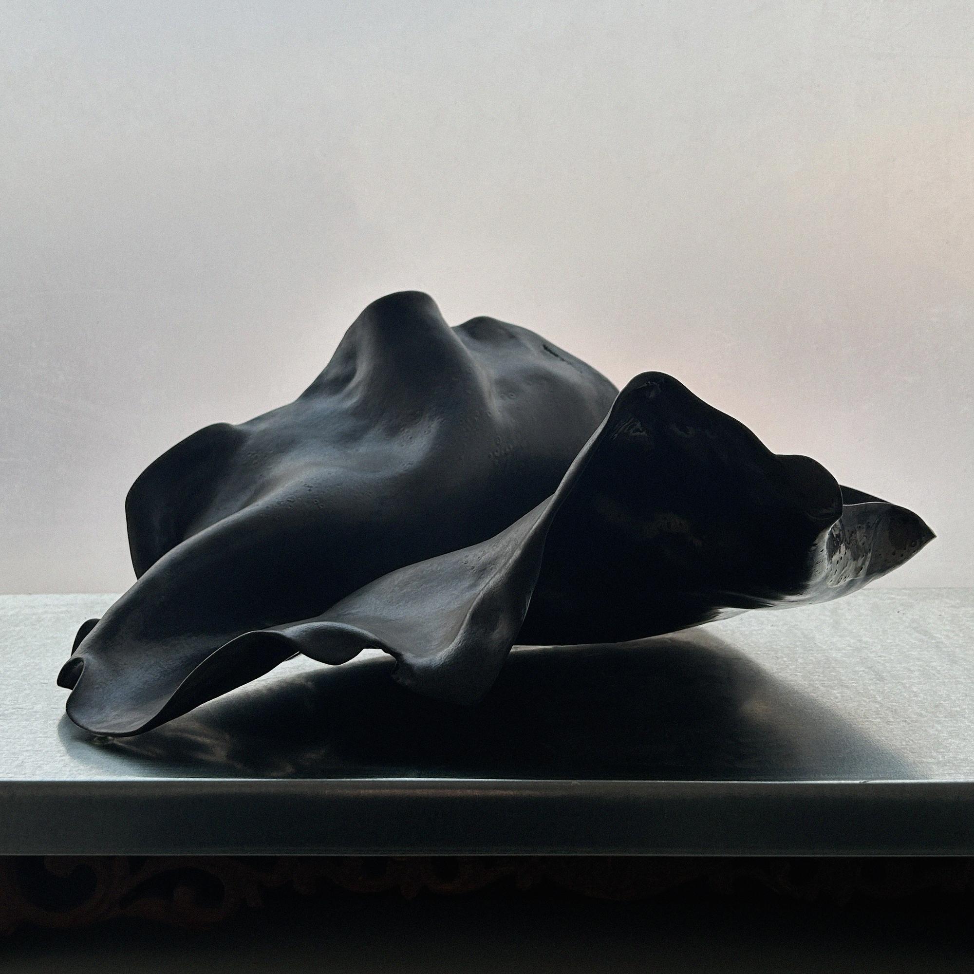 black leaf vase