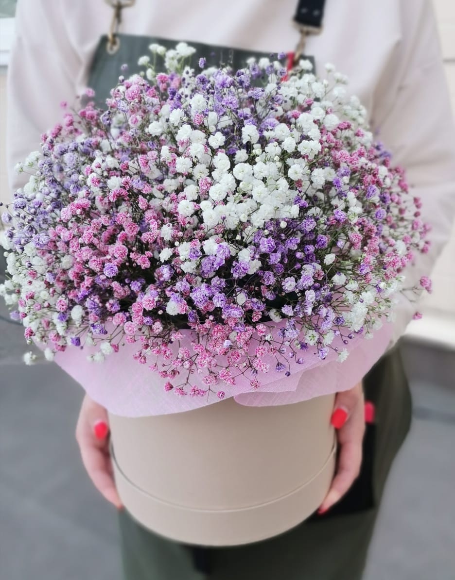 Радужная гипсофила