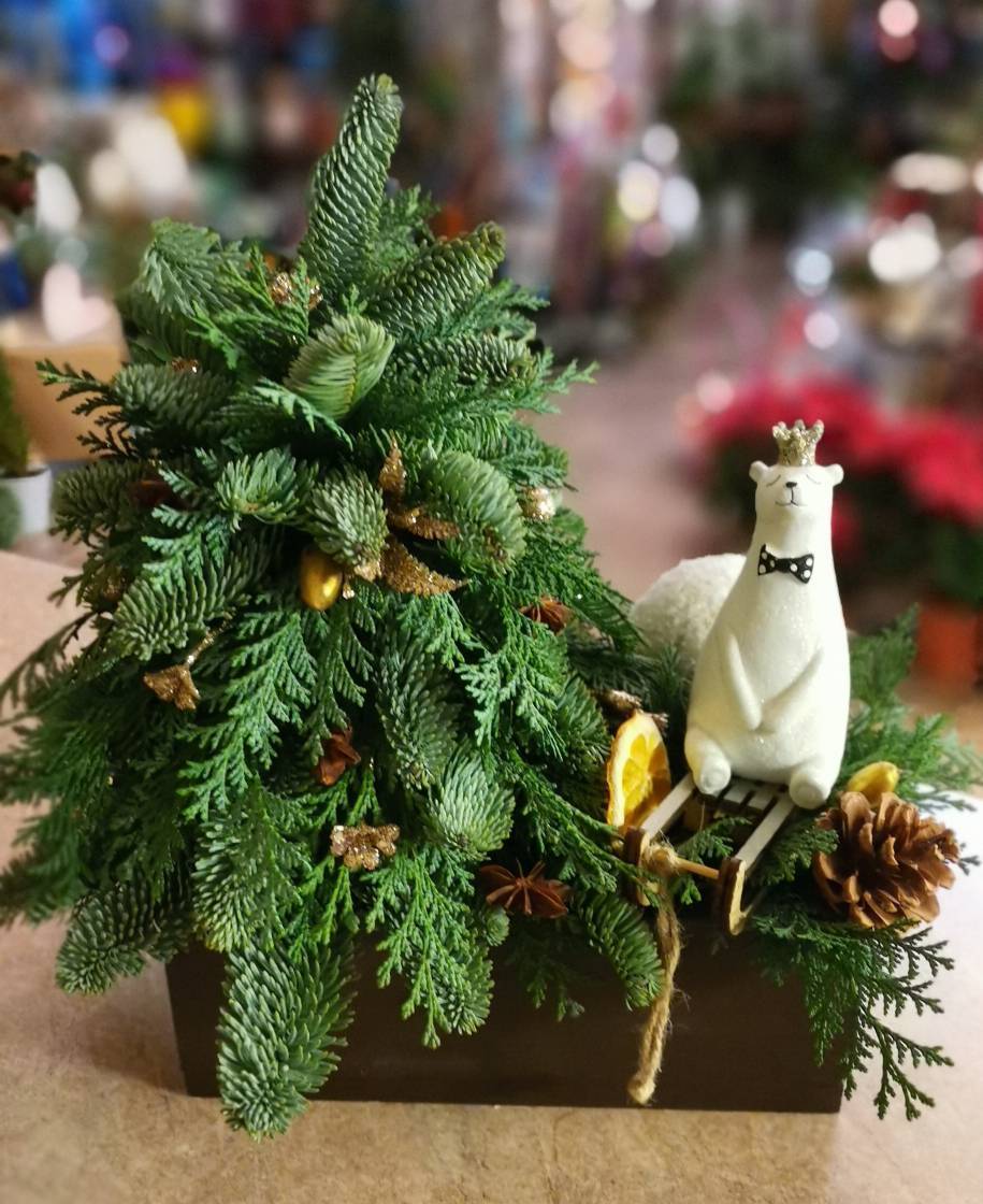 Композиция Мишка на санках