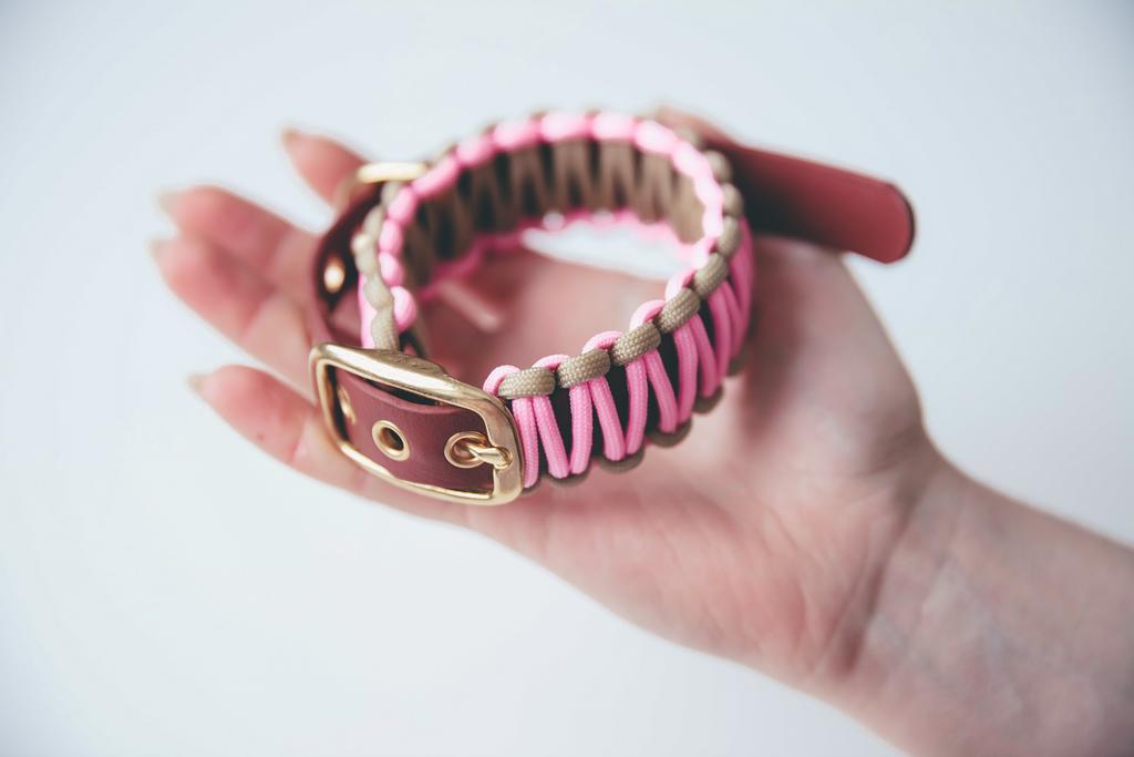 ОШЕЙНИК БИОТАН ПАРАКОРД 20 мм