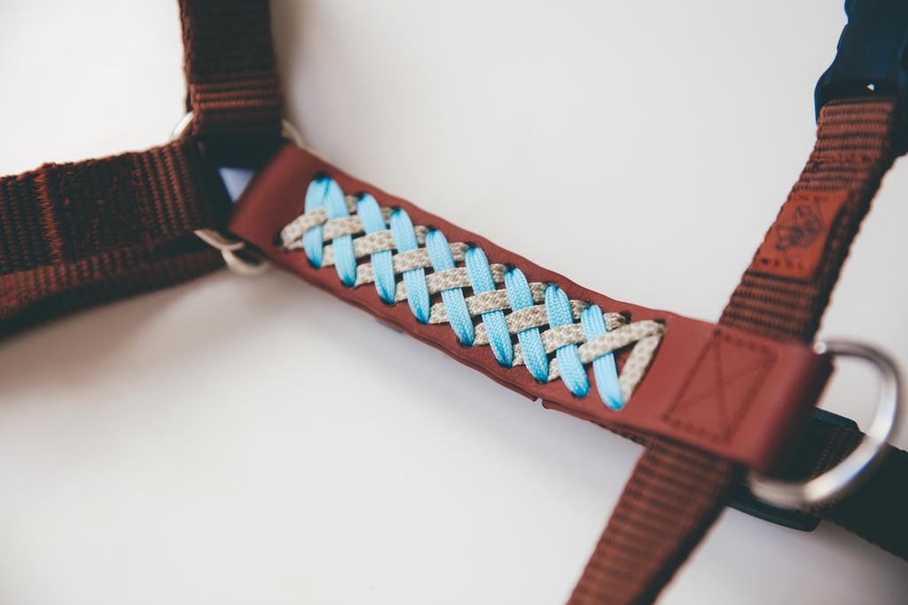 ШЛЕЙКА ДЛЯ СРЕДНИХ ПОРОД С БИОТАНОВОЙ СПИНКОЙ !new!