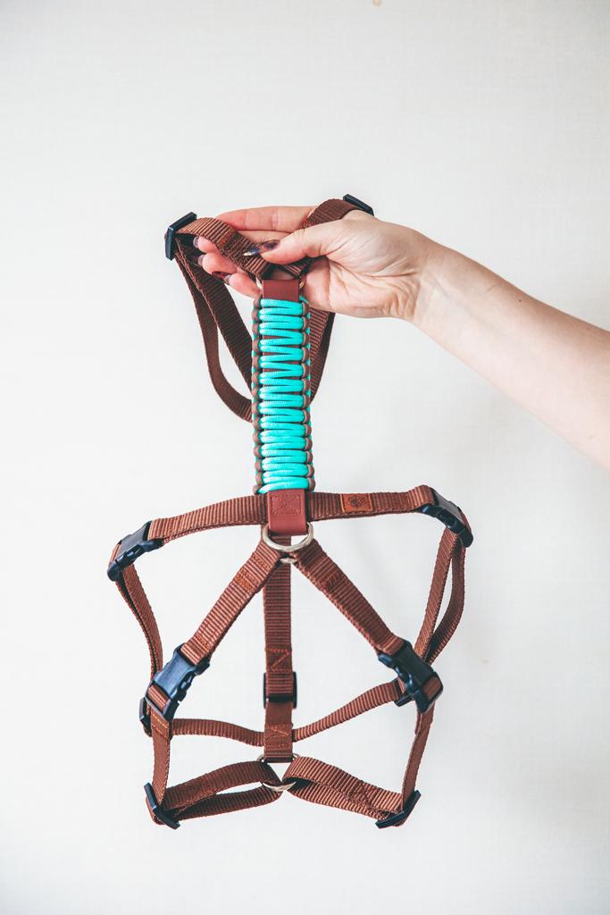 ШЛЕЙКА ДЛЯ БОРЗЫХ С БИОТАНОВОЙ СПИНКОЙ !new!