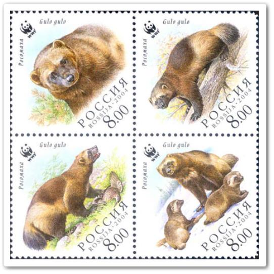 Росомаха. Выпуск по программе WWF