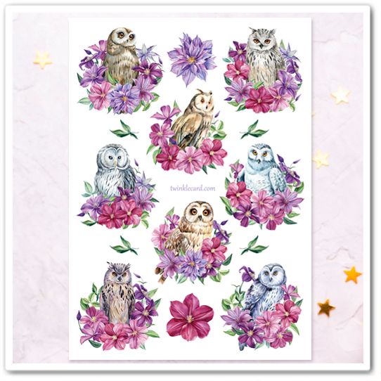 Наклейки "Совы в цветах"