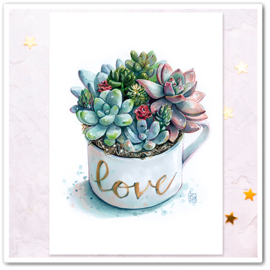 Суккуленты