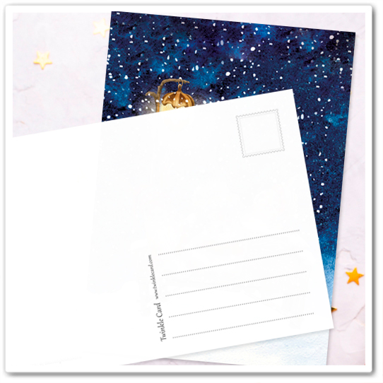 Белки. На санках