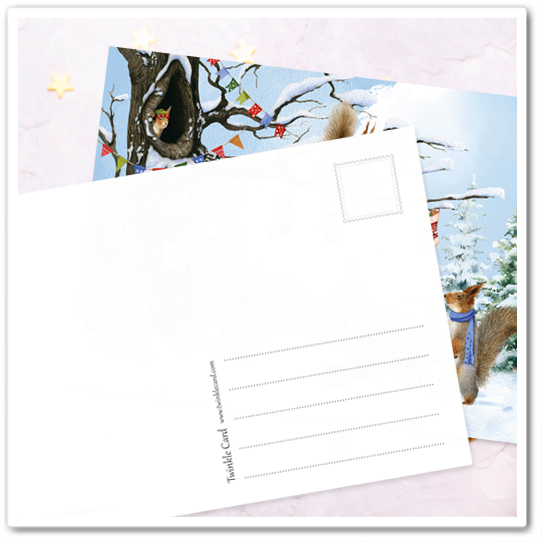 Белки. Развесили носочки