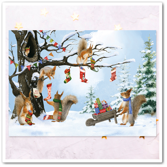 Белки. Развесили носочки