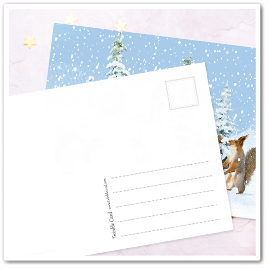 Белки. Игра в зарницу