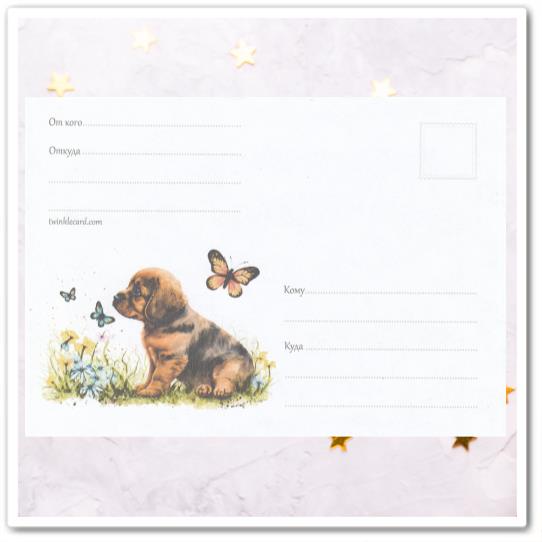 Конверт с рисунком