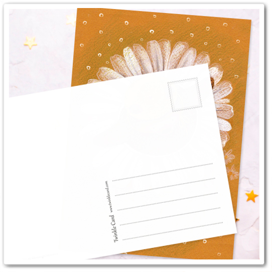 Миша. Ромашка