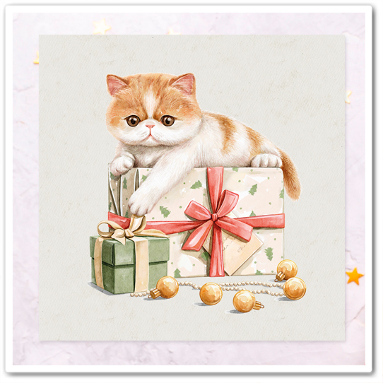 Вот - мой подарочек