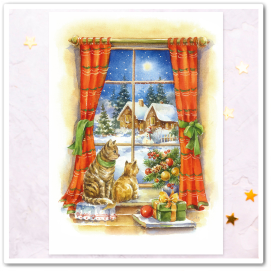 Котики встречают Рождество